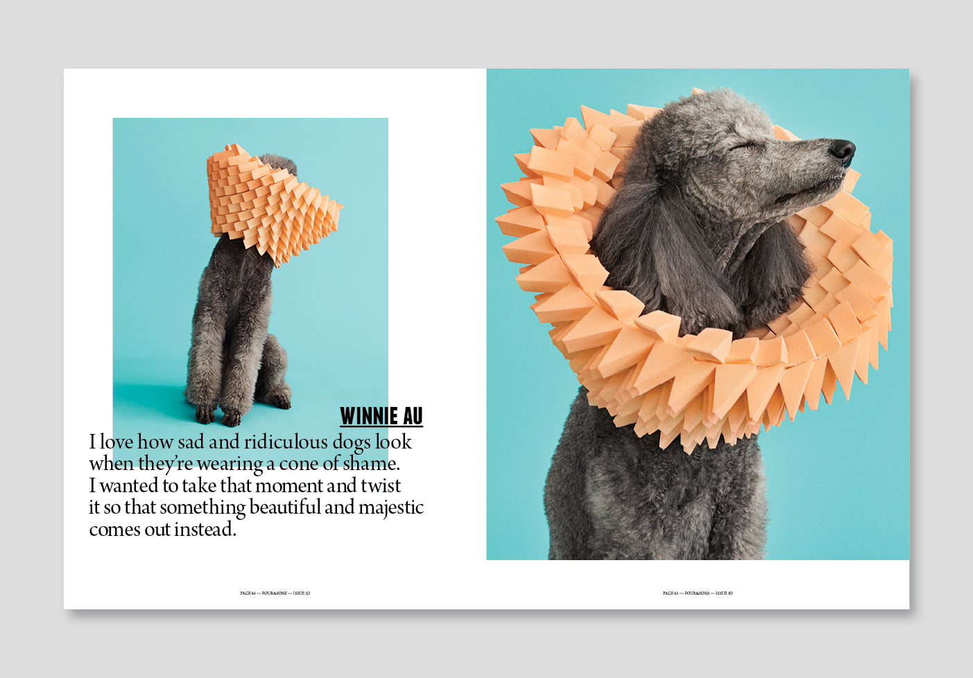 ISSUE 10